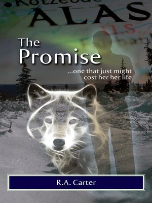 cover image of The Promise